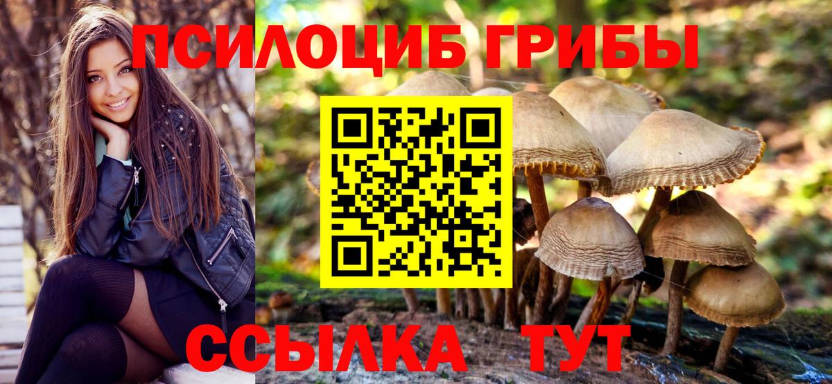 Галлюциногенные грибы Psilocybine cubensis Новочеркасск