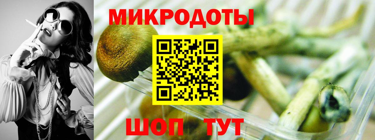 Псилоцибиновые грибы MAGIC MUSHROOMS  Псилоцибиновые грибы MAGIC MUSHROOMS  Новочеркасск  продажа наркотиков  Вход с VPN 